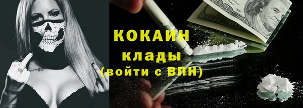 ECSTASY Горняк