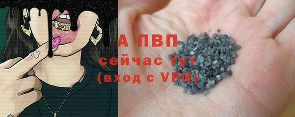 ECSTASY Горняк