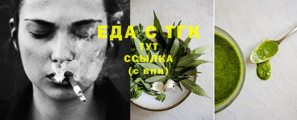 ECSTASY Горняк