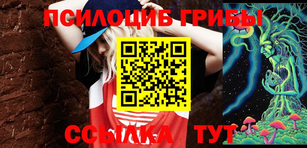 Галлюциногенные грибы GOLDEN TEACHER  Заинск 