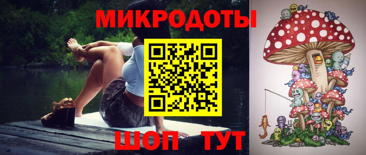 магазин продажи наркотиков  Псилоцибиновые грибы мицелий  Вход с VPN  Псилоцибиновые грибы Psilocybe  Заинск 