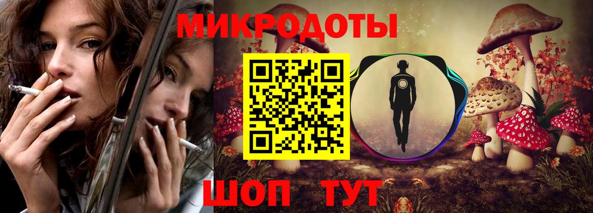 Псилоцибиновые грибы Psilocybe Заинск
